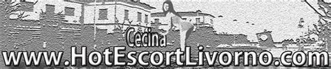 escort trans cecina|⚧️Best Trans Escorts in Cecina Meet a Transgender。